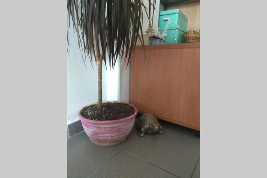 Appartamento B2 - The Cozy One Aigio Esterno foto
